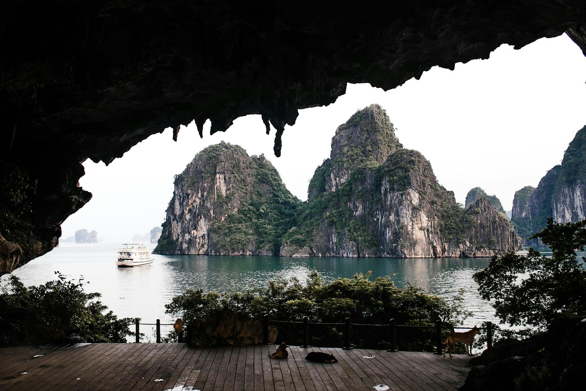 limestone karsts at ha long bay