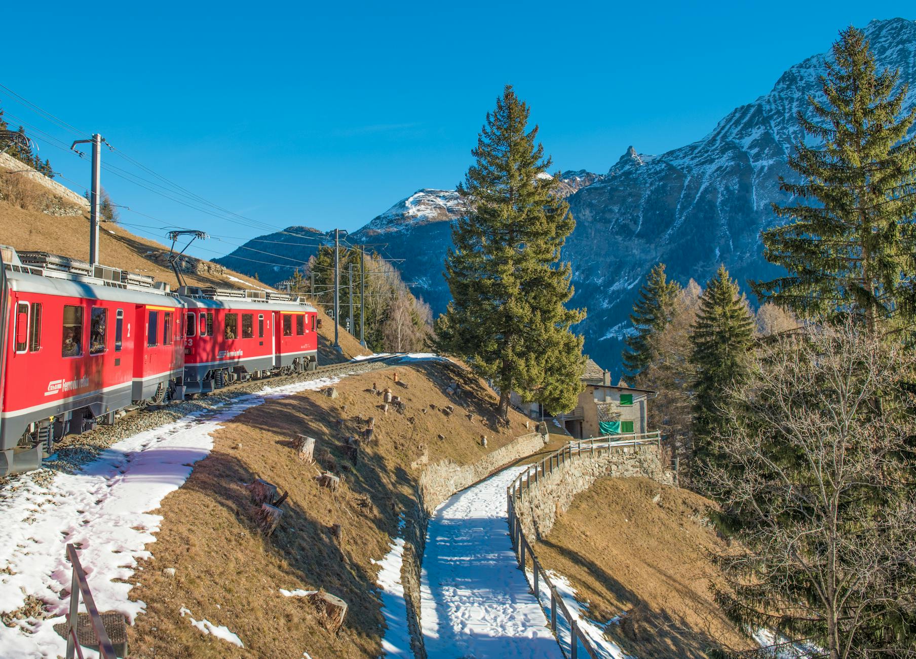 moving train with mountain and trees in background