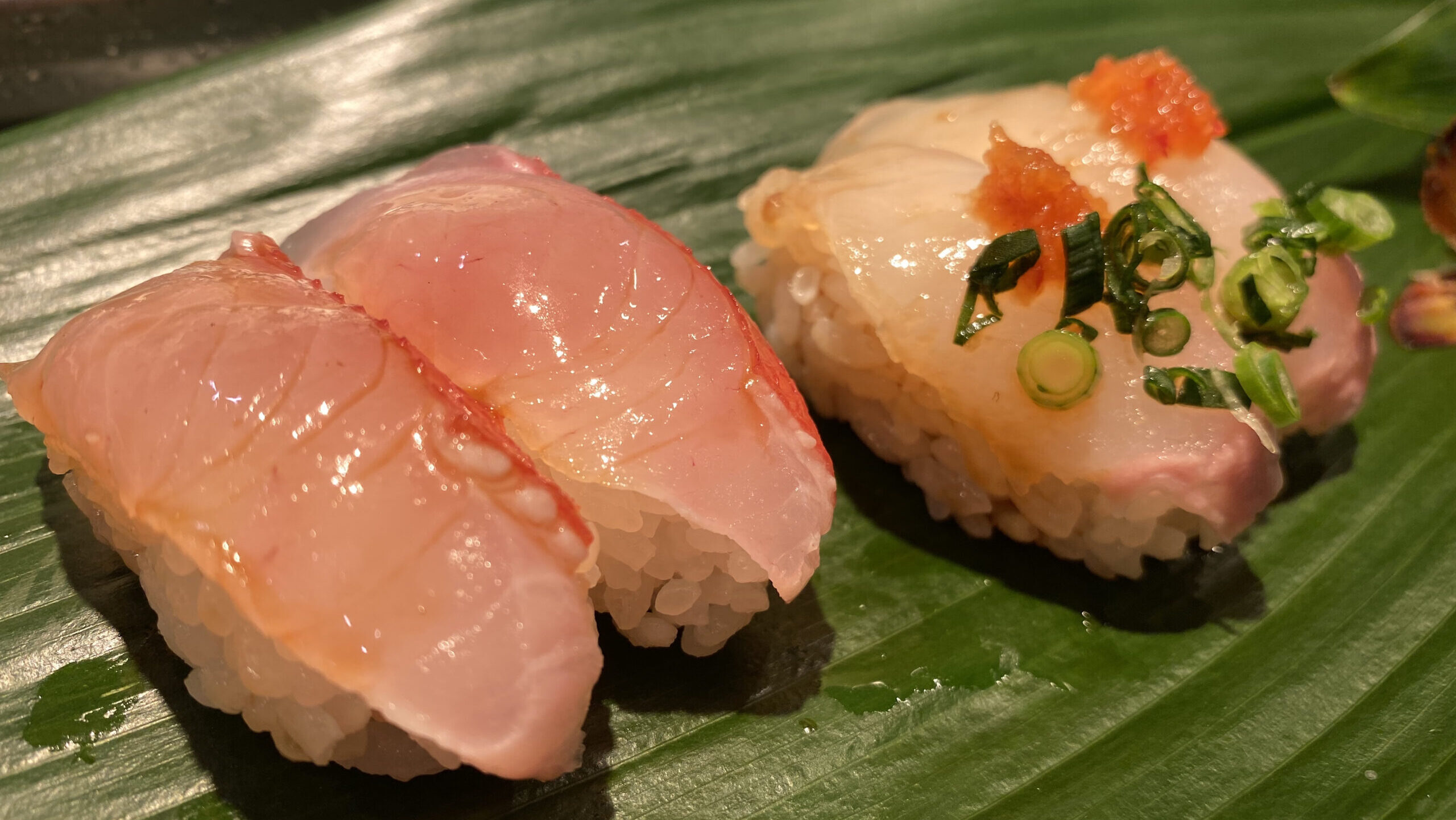 Sushidokoro Shintanaka: Why This Hidden Gem’s Reservations Sell Out in Minutes!