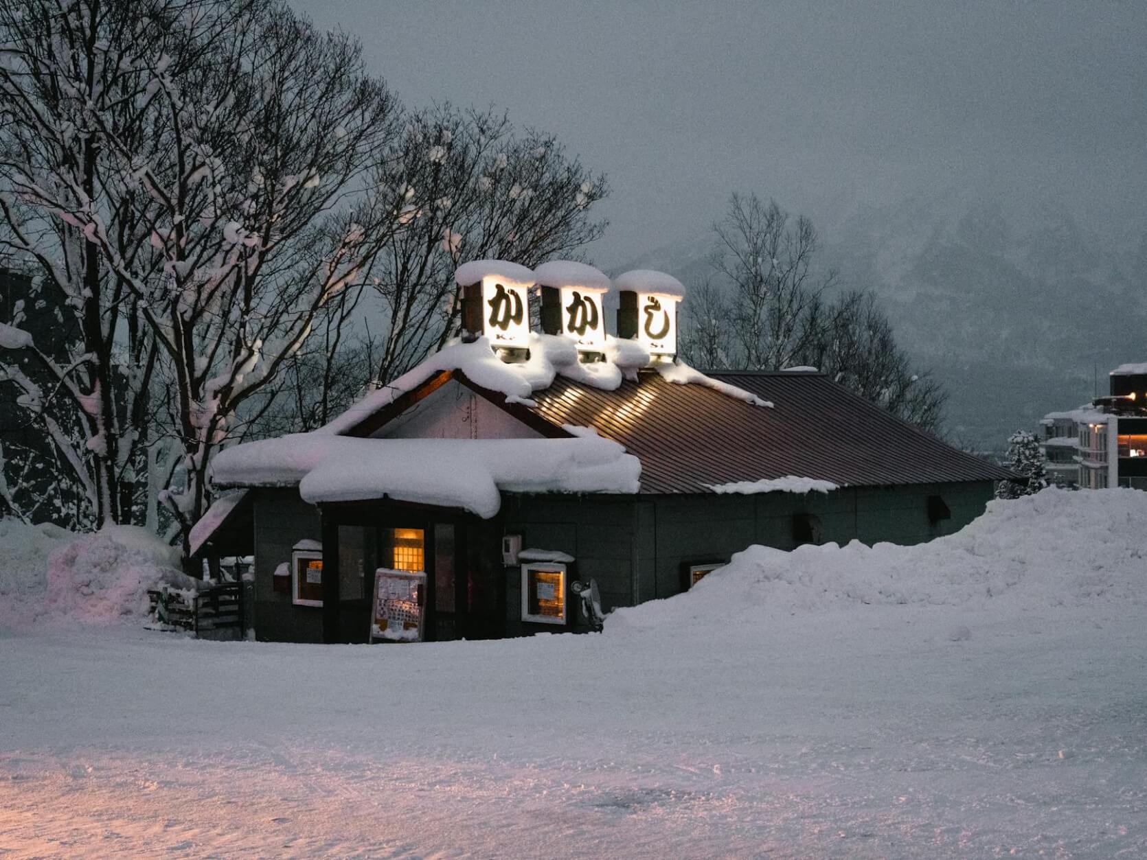 Hokkaido Winter Magic: Snow Festival & Ice Village Tour